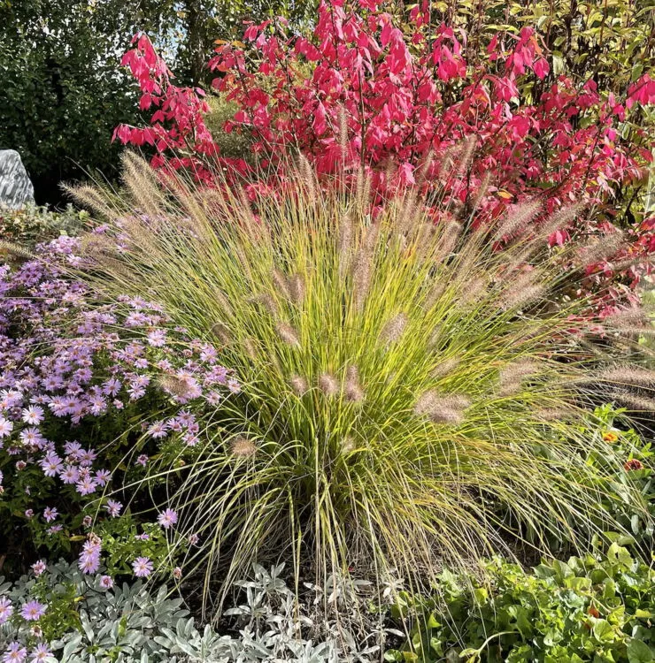 Herbstzauber-Event im Schaugarten