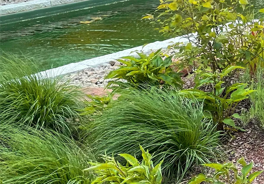 Schwimmteiche