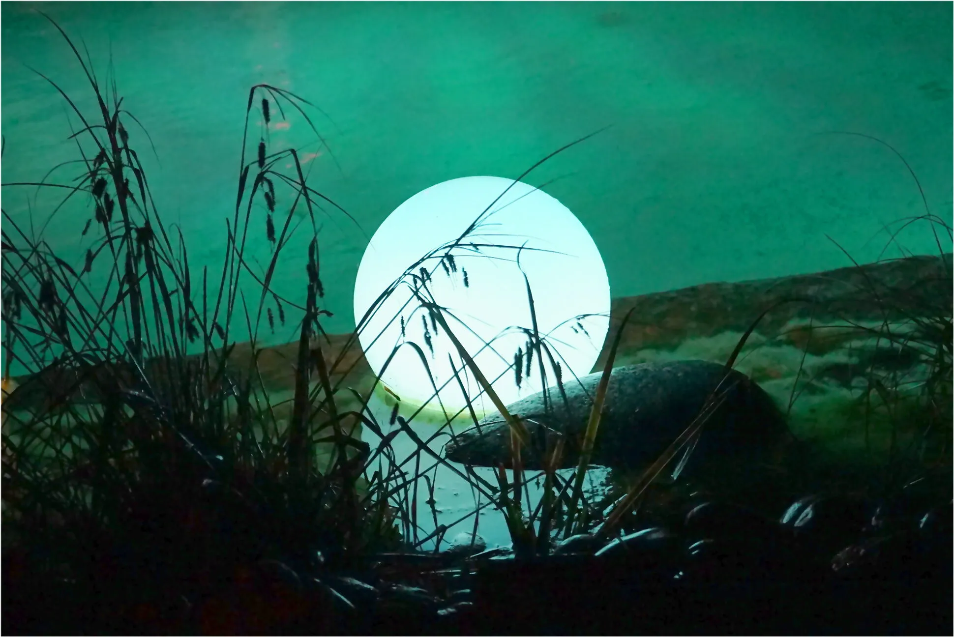 Gartenbeleuchtung – Gartenillumination der besonderen Art