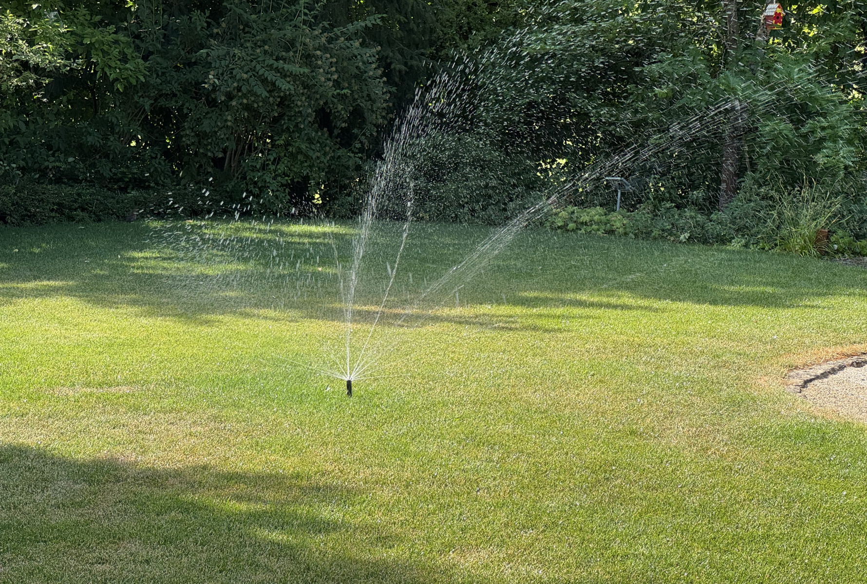 Bewässerung