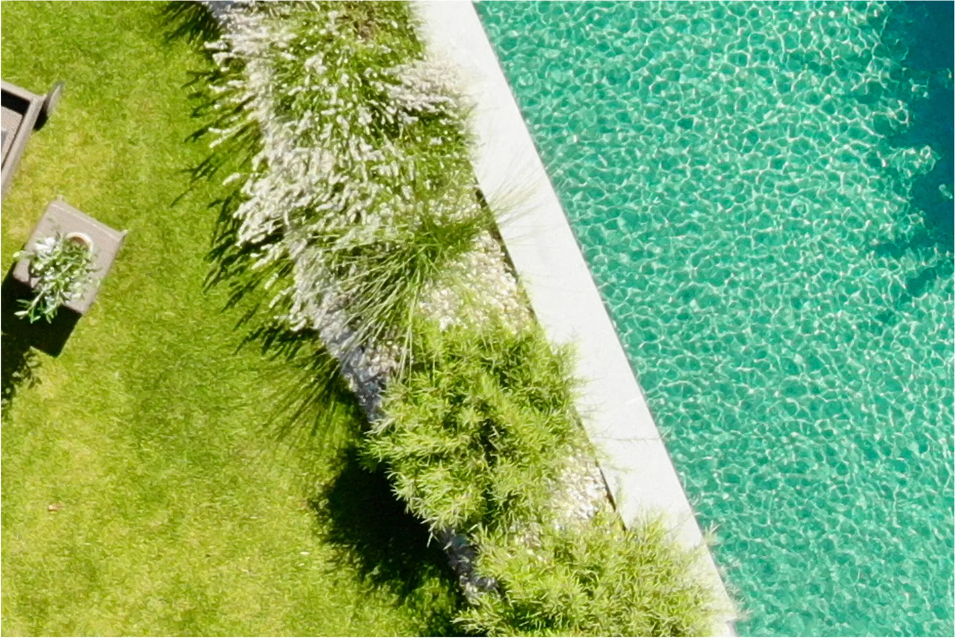 NaturPool im Garten